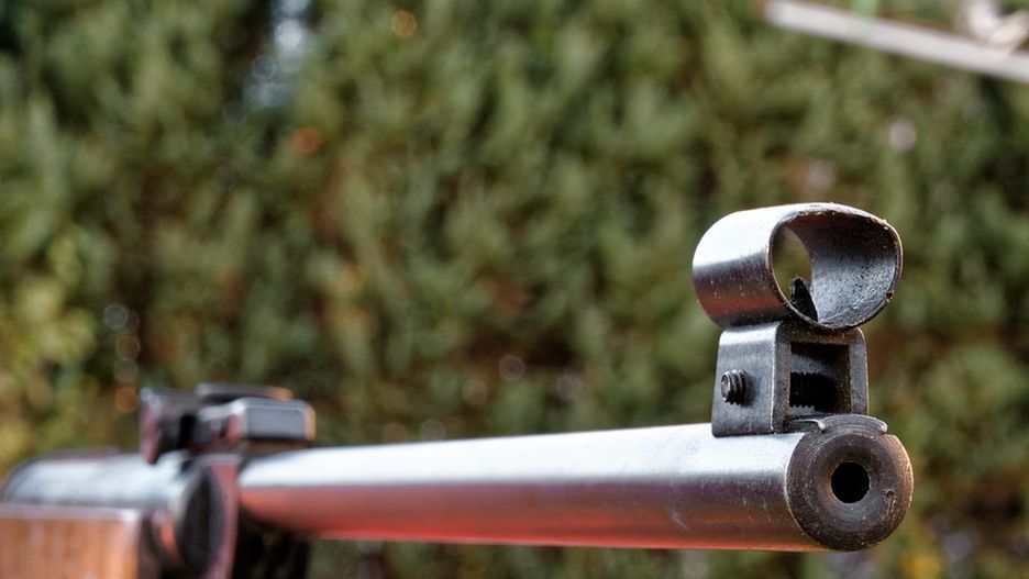 Metoda dziadka na odstraszanie ptaków omal nie skończyła się tragedią