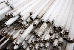 Rtęć w produktach jest zakazana od wielu lat. Ale w świetlówkach ma się dobrze