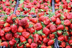 Handlarze sprzedają zagraniczne truskawki jako polskie. Są sposoby, żeby je rozpoznać