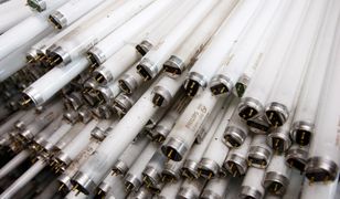 Rtęć w produktach jest zakazana od wielu lat. Ale w świetlówkach ma się dobrze