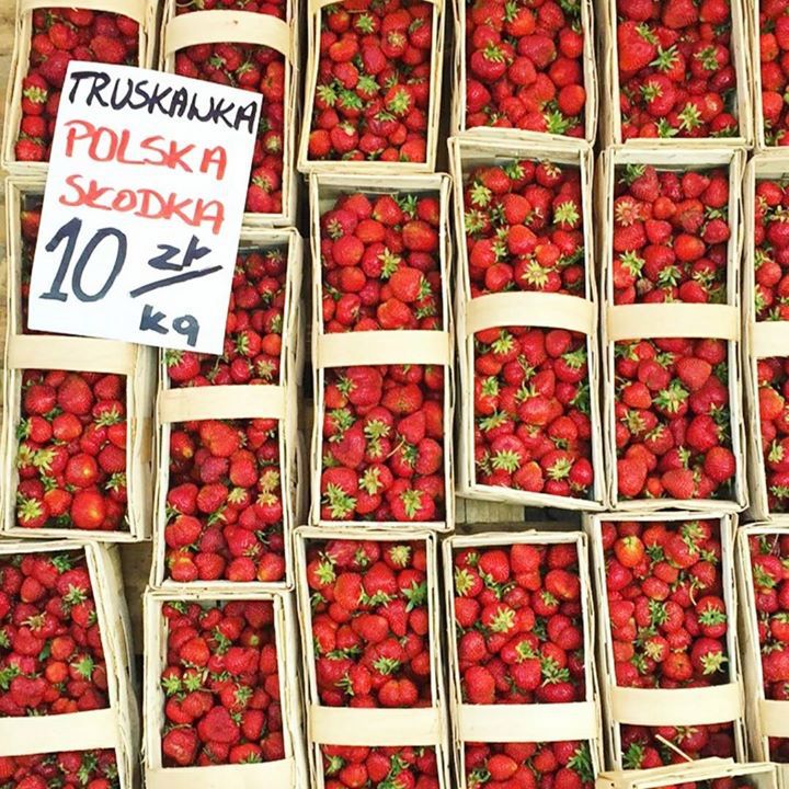 Pierwsze polskie truskawki sezon 2017. Udało nam się znaleźć kilogram za 5,50 zł