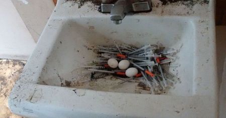 Gołębie zrobiły gniazdo ze strzykawek narkomanów