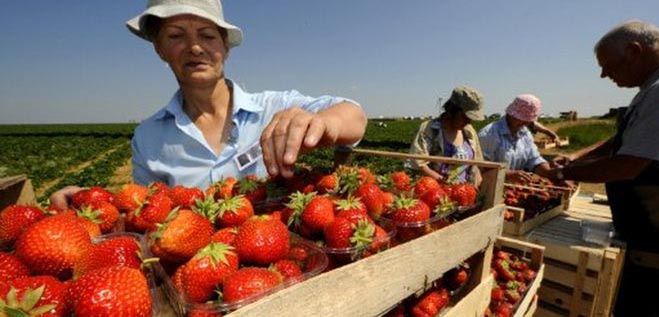 Spadek bezrobocia tylko sezonowy