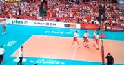 Amerykanie zachwycają się Polską drużyną siatkarską[wideo]