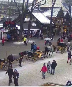 "Tylko koni żal". Reakcje na ich widok na Krupówkach mówią wszystko