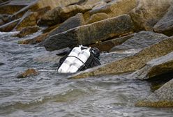 Darłówko. Znaleziono ciało dziewczynki dryfujące w Morzu Bałtyckim