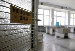 Wstępne wyniki sekcji zwłok Pauliny D. Sprawca ranił ją nożem w szyję, została pobita