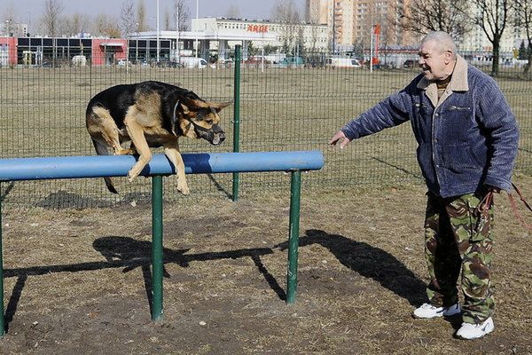 Kraków znalazł sposób na psi problem!