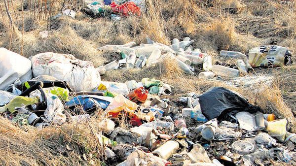 Łódzkie osiedle Stoki utonęło w śmieciach