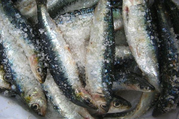 Lublin: znaleziono przeterminowane ryby. Miały trafić do sklepów