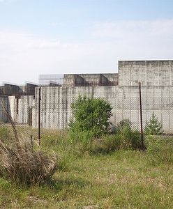 Internauci nie wierzą rządowi: robią sobie z nas jaja