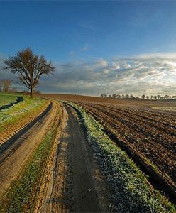 Będzie bardzo ciepło - sprawdź prognozę pogody