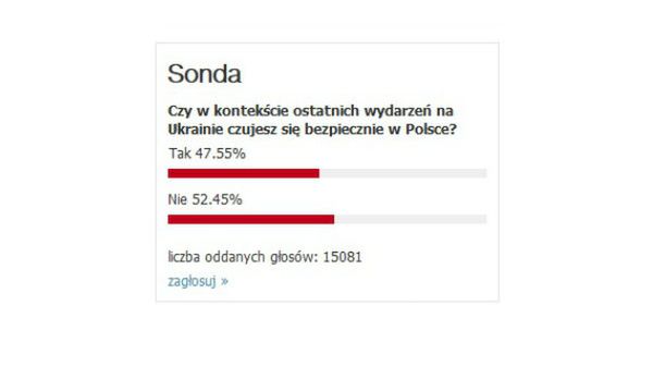 Tak rozkładają się głosy internautów biorących udział w ankiecie WP.PL