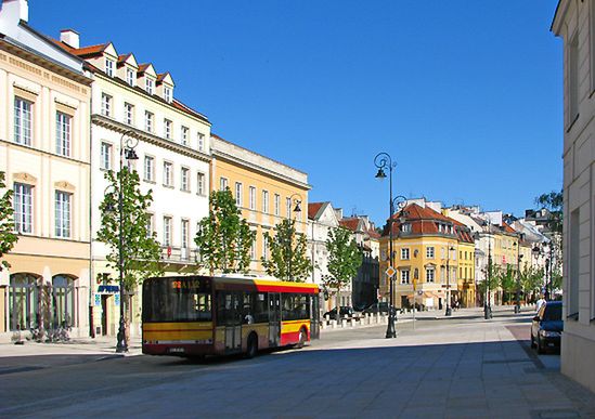 Tureckie mrówki atakują Warszawę