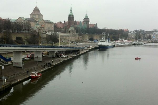 Alarm w Szczecinie. Prawie całe miasto zagrożone wścieklizną