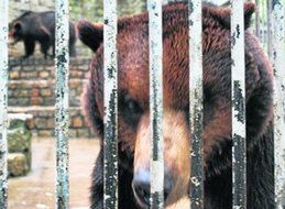 Ekolodzy z Leszna chcą wyprowadzić zoo