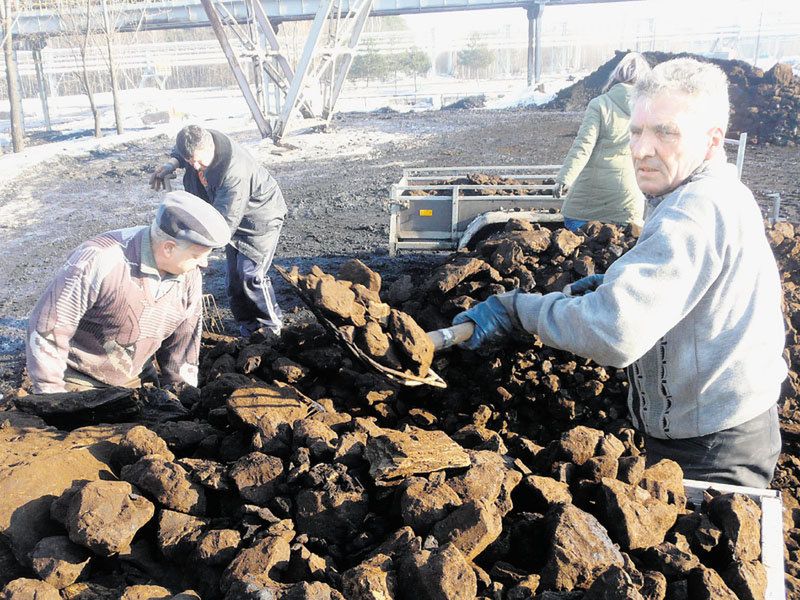 Kolejki po węgiel z bełchatowskiej kopalni