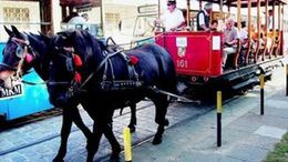 Wczoraj za darmo woziły tramwaje konne, jutro - te elektryczne