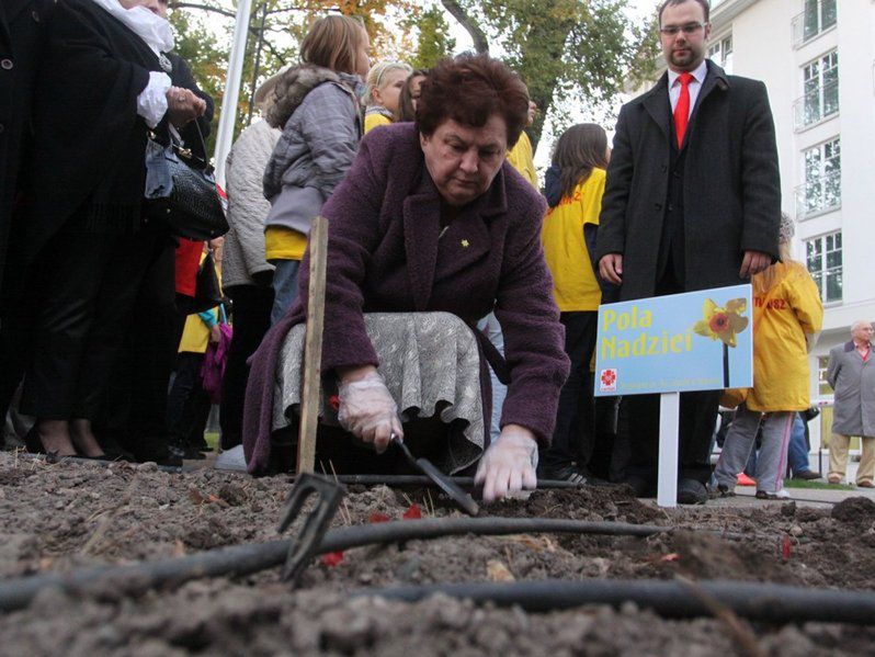 Pola Nadziei 2012 - zasadzą żonkile wokół hospicjum