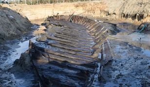 Ogromna szkuta odnaleziona w Czersku. Po Wiśle pływała za czasów Kolumba