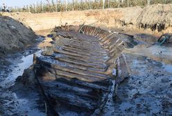 Ogromna szkuta odnaleziona w Czersku. Po Wiśle pływała za czasów Kolumba