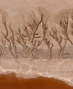 Pustynia Mojave - wyjątkowe obrazy stworzone przez naturę