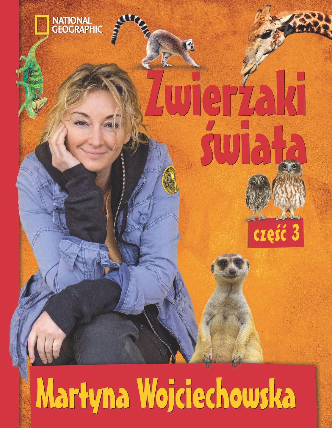 Obraz