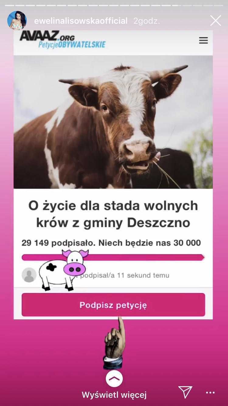 Ewelina Lisowska - gwiazdy bronią wolnych krów