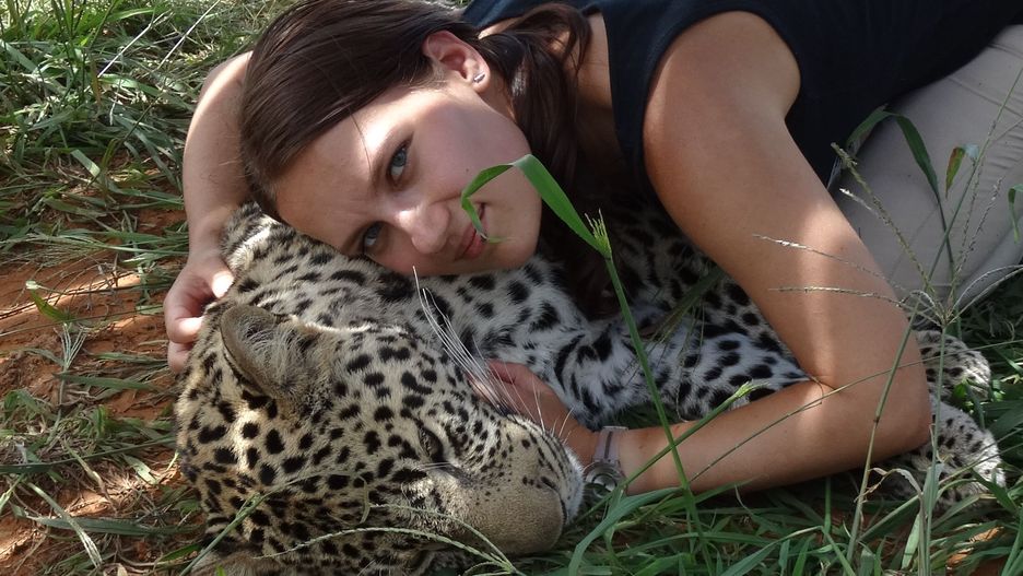 Najnowsza książka Małgorzaty Zdziechowskiej jest o życiu dzikich kotów