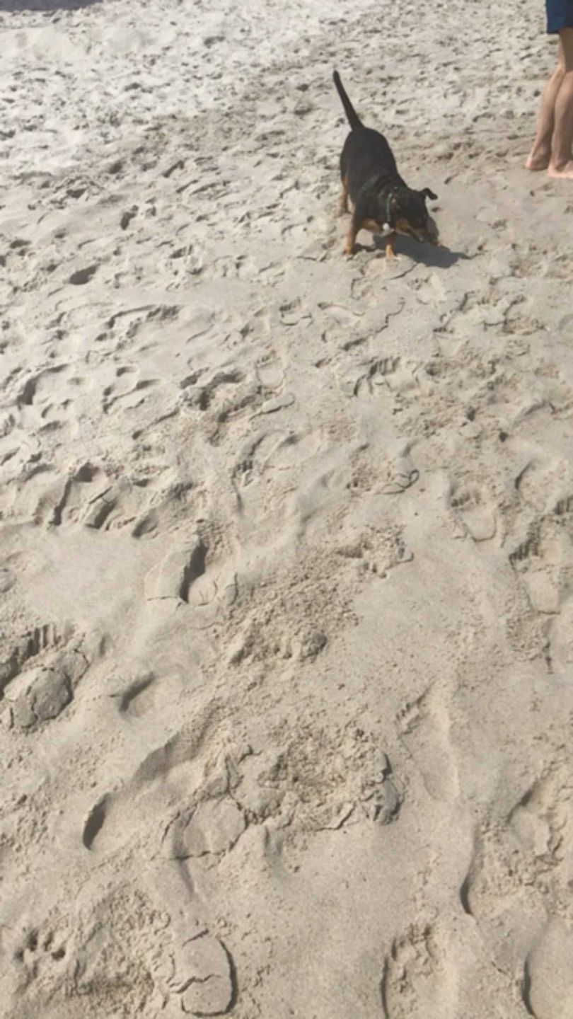 Marta Manowska - zdjęcie z plaży