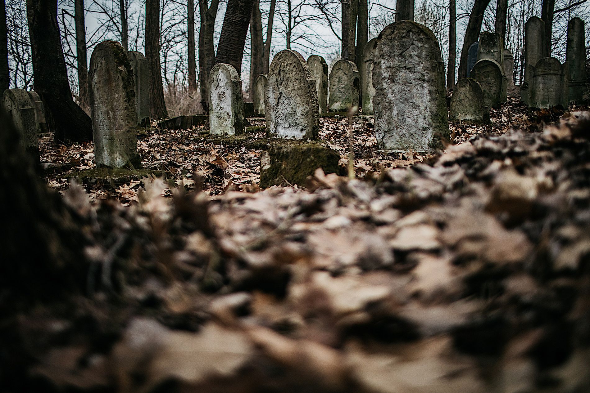 Wiele macew zniknęło z cmentarza. Zabierali je Niemcy, potem Polacy. Służyły za materiał budowlany. 
