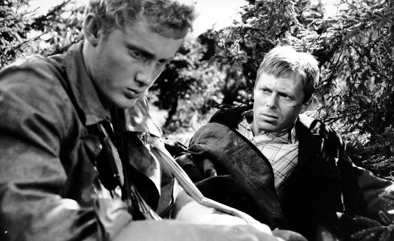 Kadr z filmu "Ranny w lesie" w reżyserii Janusza Nasfetera 