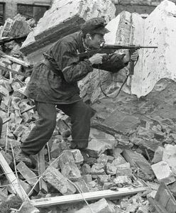 Nie tylko Polacy przelewali krew za Warszawę. Obcokrajowcy w Powstaniu Warszawskim