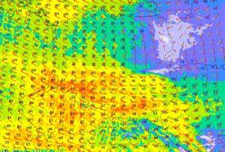 Pogoda. Ostrzeżenia IMGW przed silnym wiatrem