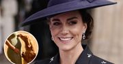 Możecie składać gratulacje księżnej Kate! Jej rodzina niedługo się powiększy. Kto jest szczęśliwym tatusiem?