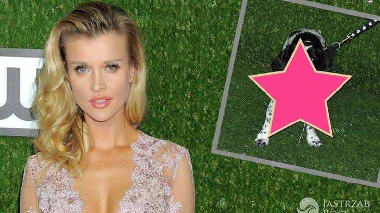 Joanna Krupa z psem