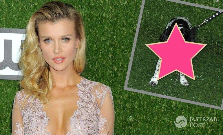 Joanna Krupa zabrała na ściankę ukochanego psa! Gwiazda nie zapomniała o stylizacji dla pupuila