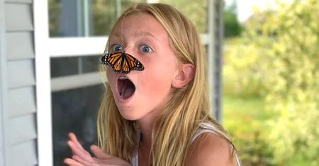 Gdy motyl usiądzie na Tobie, to jest to znak. Wybrał Cię nie bez powodu