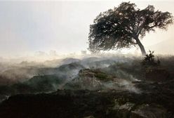 Pożary traw na południu Australii - 2 zabitych