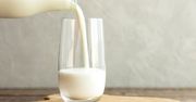 Najnowsze ustalenia naukowców! Mówią, czy mleko roślinne naprawdę jest zdrowsze od krowiego