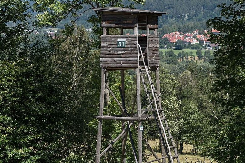 Myśliwi stracili ambony do polowań. Mówią, że to wina ekologów