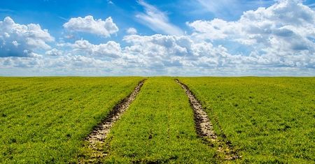 Zaskakujące przyczyny mogące mieć wpływ na nasilenie dolegliwości bólowych