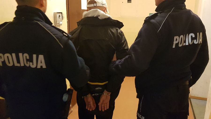 Gdańska policja zatrzymała we wtorek dwóch Polaków