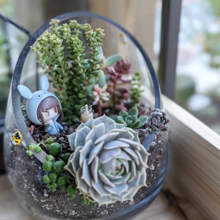 happy.little.succulents/Instagram