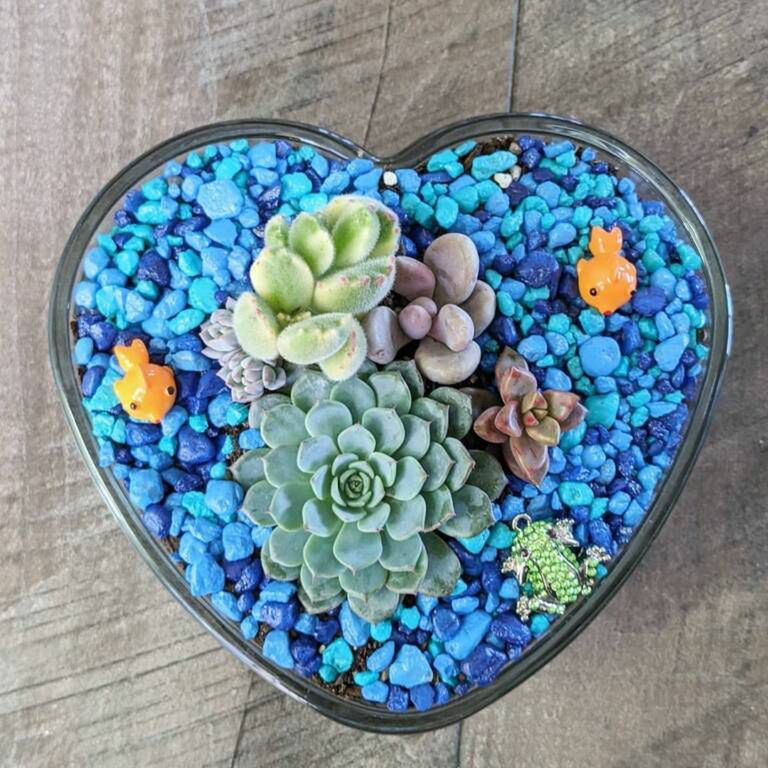 happy.little.succulents/Instagram