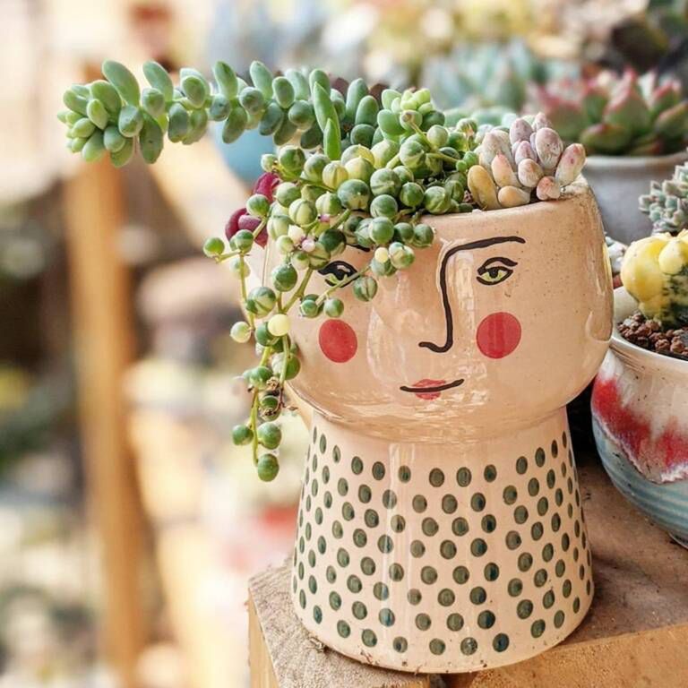 happy.little.succulents/Instagram