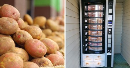 Pierwszy w Polsce automat z ziemniakami. Gdzie się znajduje? Oferta, cena