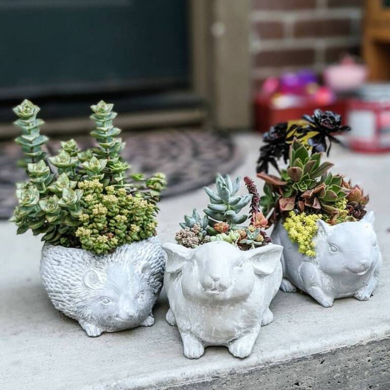 happy.little.succulents/Instagram