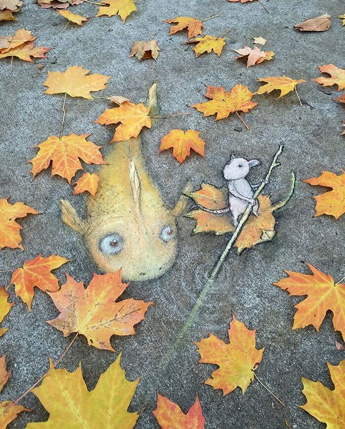 davidzinn/instagram