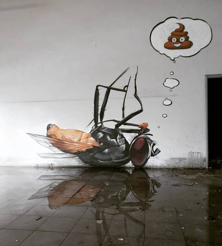 © odeith/Instagram